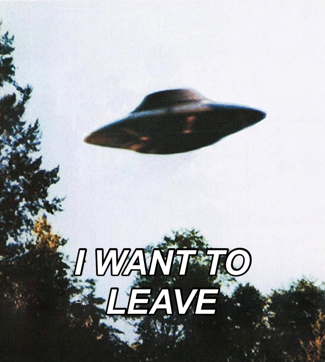 the x files ! (@scullyxf) on Twitter photo 