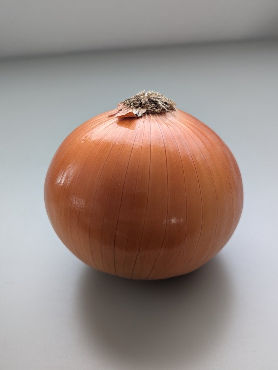 purchased the most beautiful onion today. just in awe. thank you