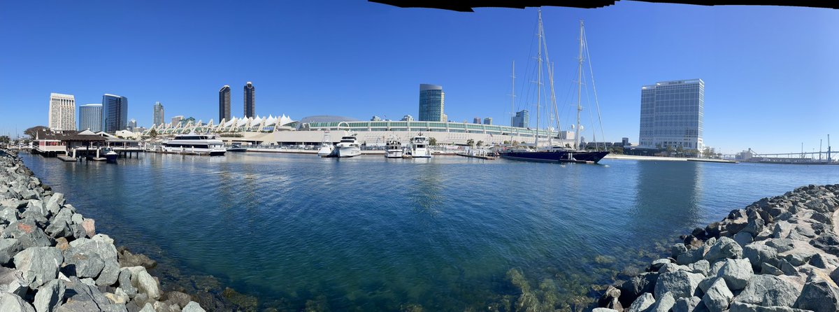 Pat Jones tweet media