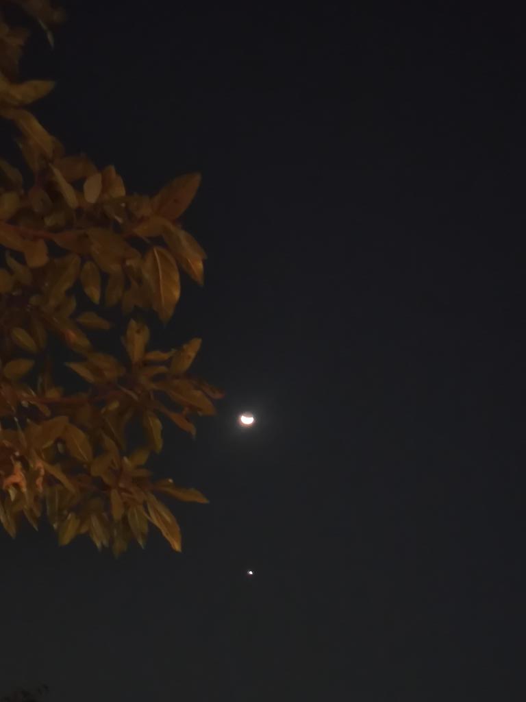 codeeTinkerer's tweet image. Moon and Venus tonight✨🫰🏻