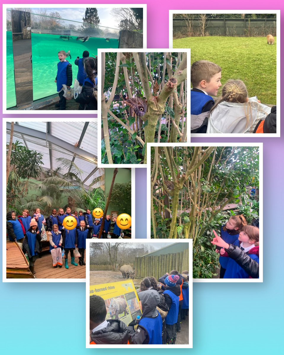 MissGreen (@missbgreen_) on Twitter photo Year 3 had a fabulous time at Chester Zoo earlier this week! The children enjoyed exploring & left feeling inspired to write about their experience! ππ π¦ <a href="/StMarysRCRad/">St Mary's RC Radcliffe</a> #stmarysradcliffeenglish Year 3 had a fabulous time at Chester Zoo earlier this week! The children enjoyed exploring & left feeling inspired to write about their experience! ππ π¦ <a href="/StMarysRCRad/">St Mary's RC Radcliffe</a> #stmarysradcliffeenglish