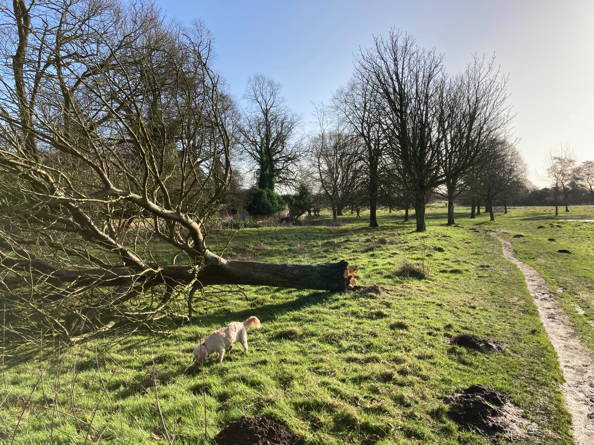 Vector Lovers tweet media