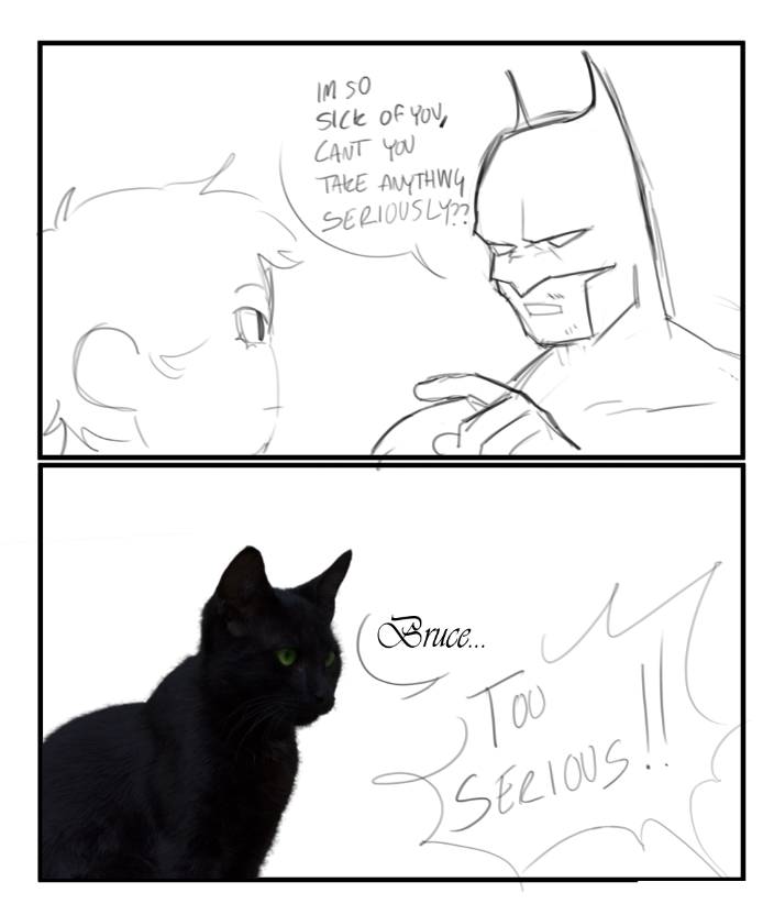 viv !🔻COMMS closed (@sveltecats) on Twitter photo 