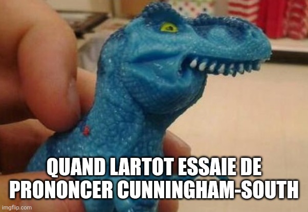 Le fameux Cunningham-Faouf