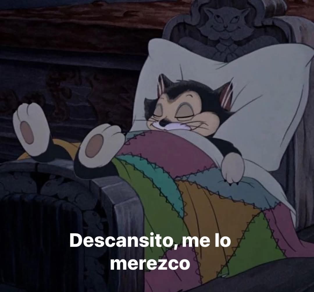 angelo_uf's tweet photo. Yo después de hacer absolutamente nada en todo el día. https://t.co/EtiTYutHhf