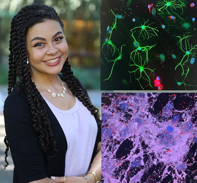 Sydney Floryanzia is a neuroengineer &amp; science communicator✨

As a current PhD candidate at UW, her research investigates models for therapeutic particles to cross the Blood-Brain-Barrier to treat brain diseases 🧠

She’s also passionate about making STEM fun to learn for kids💞