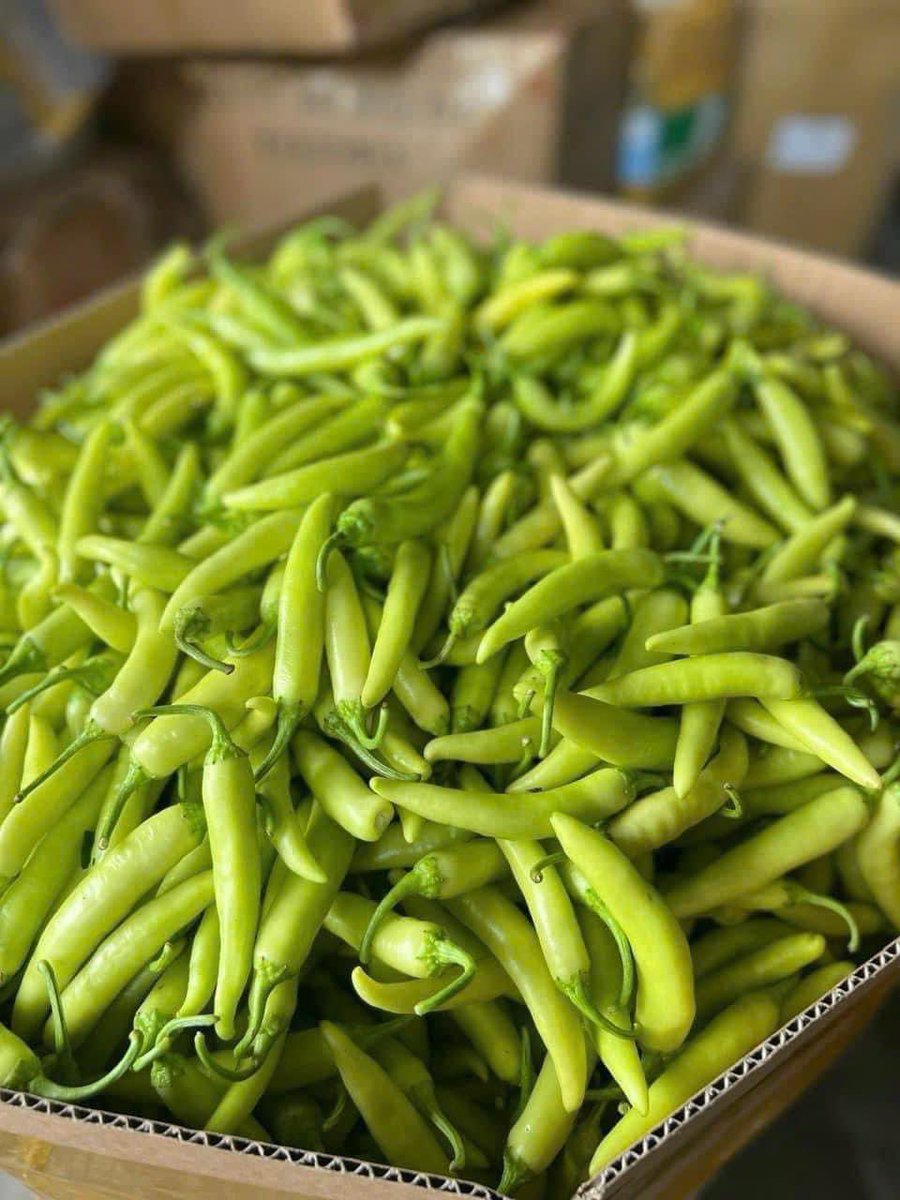TrangSuVN's tweet photo. The chili is spicy but delicious!
Ớt cay nhưng mà ngon!
Ai thích ăn ớt giơ tay mn ơi
Who likes to eat chili like me? https://t.co/Fue01ZtbHL