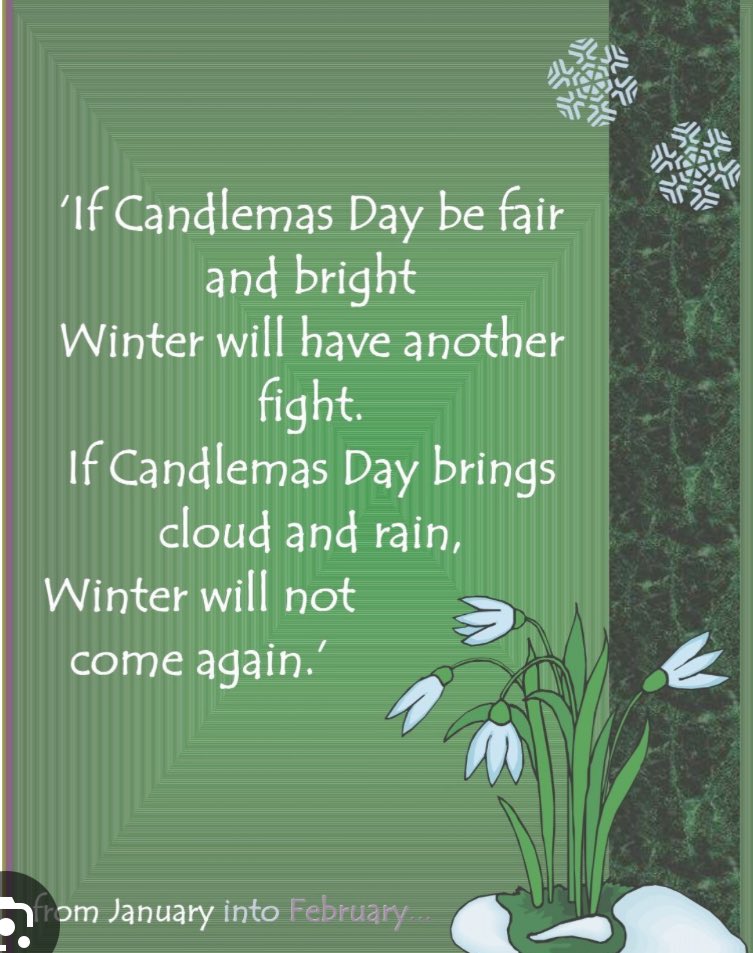 rattycastle tweet media