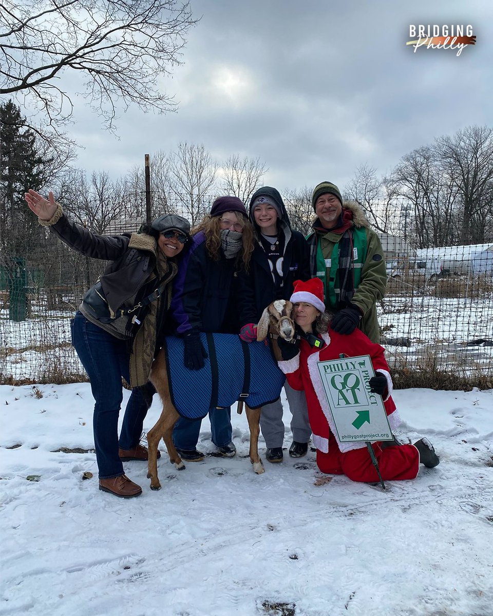 The goats are back this week on Shara in the City!

@SharaDae talks with a mom who got a second chance at life through <a href="/Donors1/">Gift of Life</a> and her daughter, as they walk through the <a href="/awburyarboretum/">Awbury Arboretum</a> grief garden and reflect.

Listen at the end of our latest episode: kywnewsradio.com/bridgingphilly