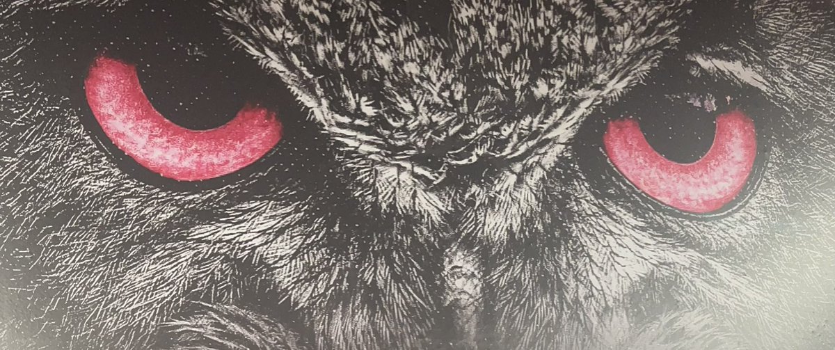 Roy Roundtree tweet media