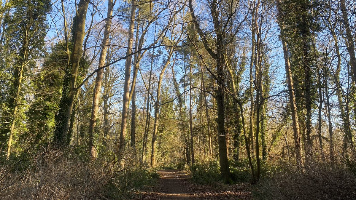 Hey <a href="/runningpunks/">Running Punks</a> - here’s my 7k #VRC offering. 
The woods were muddy below and glorious above with me shuffling along inbetween. 

🎧Awesome tunes for company: 
Nachash - Eschaton Magicks 🖤🙌