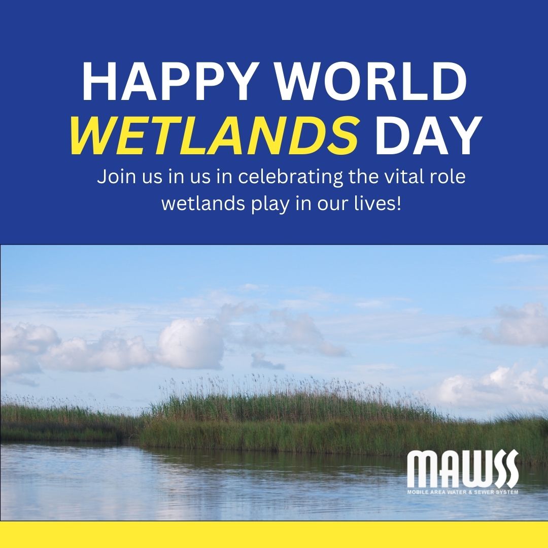 🌎💧 World Wetlands Day – February 2. Join us in celebrating the vital role wetlands play in our lives! We’re committed to protecting water resources and the ecosystems that sustain them. #WorldWetlandsDay #waterquality #watermanagement #mawssofficial #KeepWaterWorking