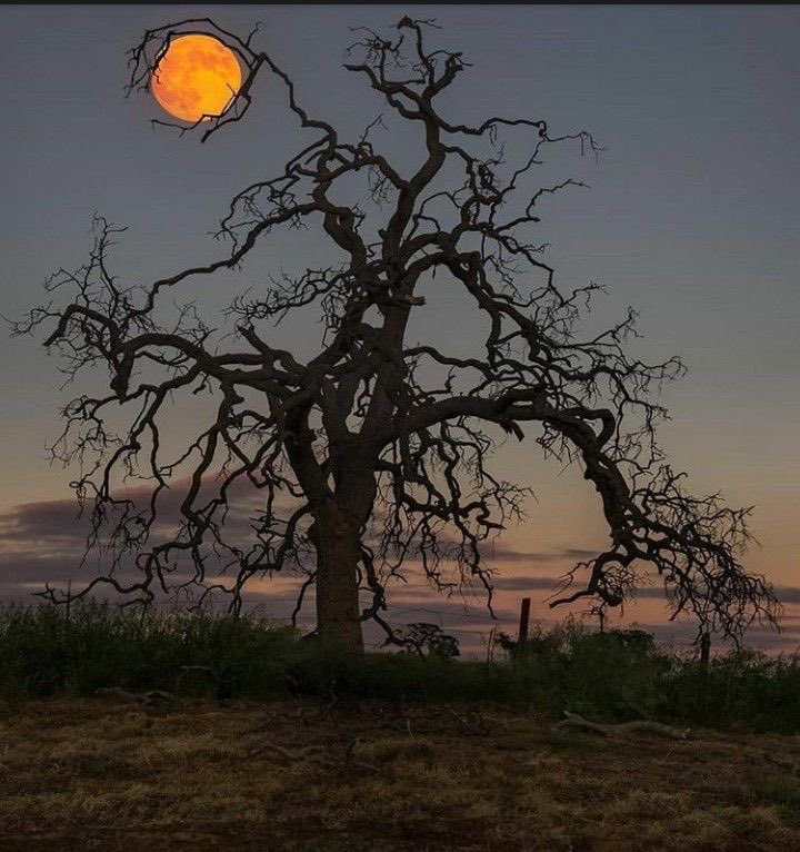 MOON (@moon4pics) on Twitter photo 