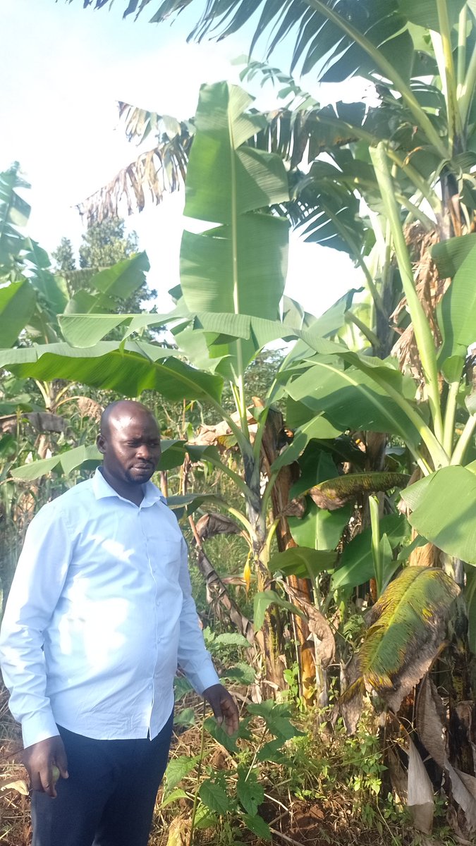 I have spent the whole day in the village