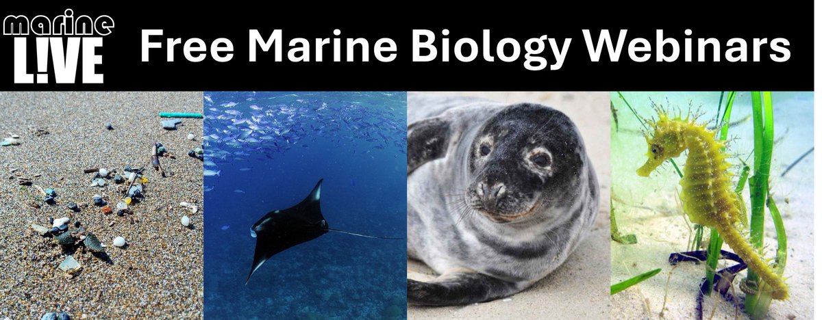 Keiron Derek Brown (@keirondbrown) on Twitter photo Join us to learn about #marinebiology for free in our marineLIVE webinars. Last year we explored seahorse conservation, and this year we have microplastics, grey seals and manta rays on the agenda!
eventbrite.co.uk/cc/marinelive-…
<a href="/thembauk/">MBA - Marine Biological Association</a> <a href="/mcsuk/">Marine Conservation Society</a> <a href="/PorcupineMNHS/">Porcupine Marine</a> Join us to learn about #marinebiology for free in our marineLIVE webinars. Last year we explored seahorse conservation, and this year we have microplastics, grey seals and manta rays on the agenda!
eventbrite.co.uk/cc/marinelive-…
<a href="/thembauk/">MBA - Marine Biological Association</a> <a href="/mcsuk/">Marine Conservation Society</a> <a href="/PorcupineMNHS/">Porcupine Marine</a>