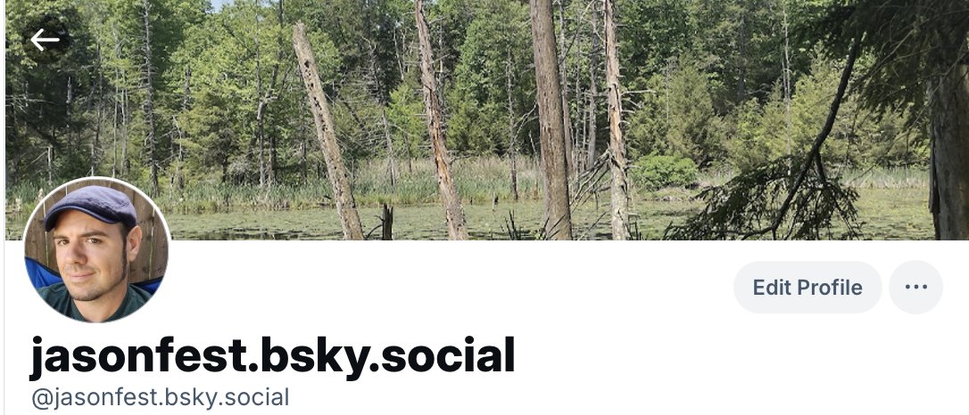 Moving on over to Bluesky