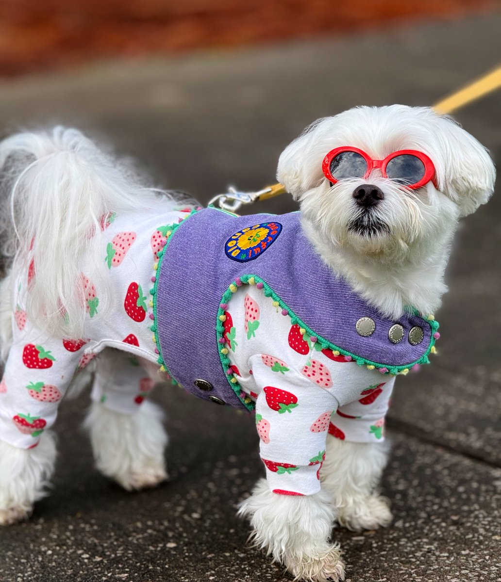 Beth Ann Nichols tweet media