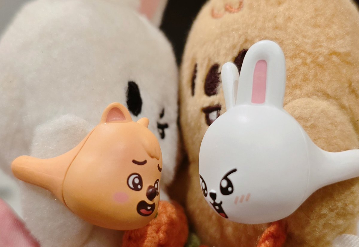 퀔냥냥 tweet media
