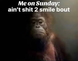 gm