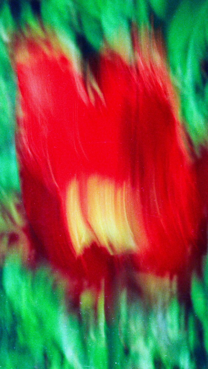 Ta meilleure photo de fleurs 🌸🌺
Je commence ⬇️