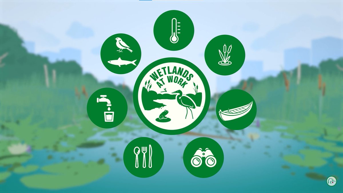 Wetlands are nature's unsung heroes—they support 40% of all wildlife species, filter water, store carbon, regulate flooding and drought, and even boost our health! Watch our #WetlandsAtWork video to learn more:
🎥👉 loom.ly/8O7vyHE 🌎🌱 #WorldWetlandsDay