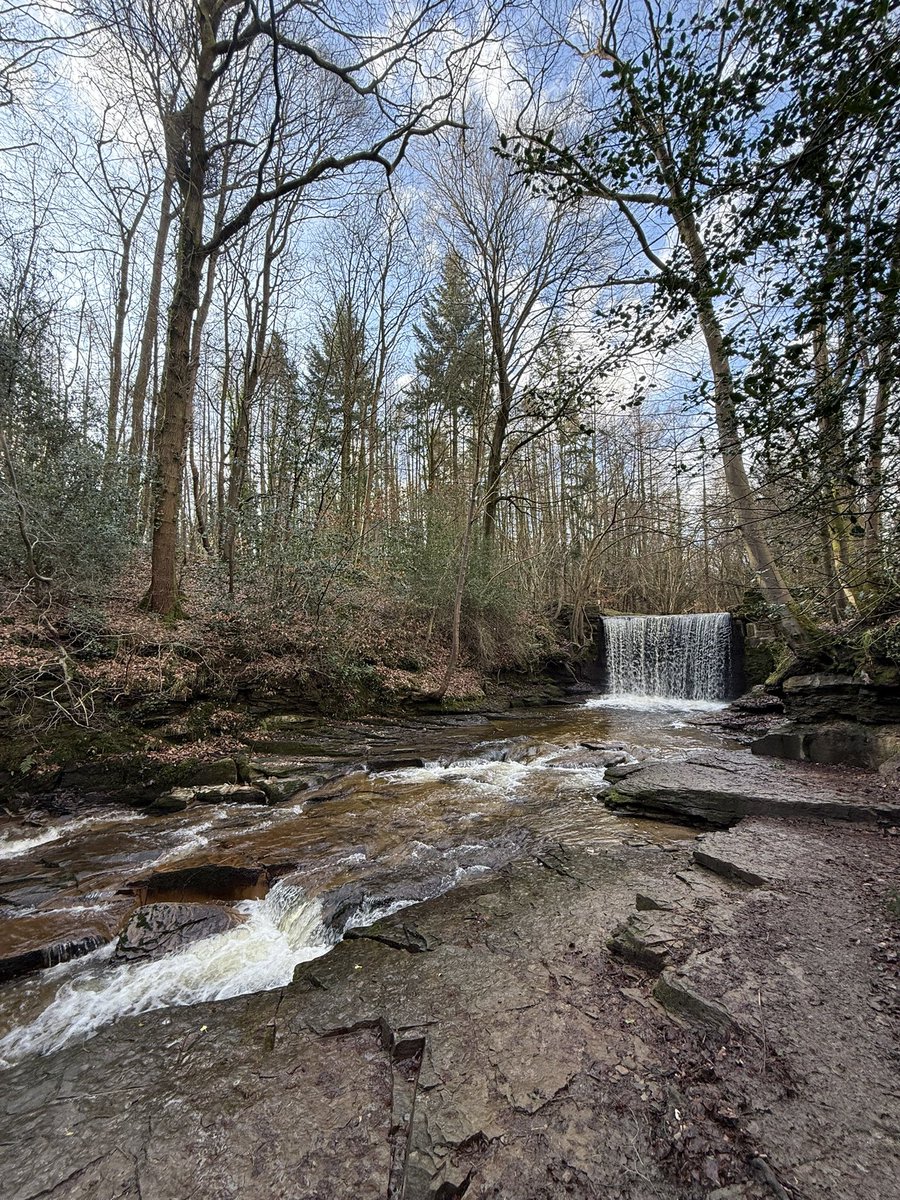 lisa_j_dawson's tweet photo. Exploring Nant Mill woods today. It was like being on set of virgin river. Absolutely stunning 🥾🍂🐾🍃🪵🦔💚 #wales #wrexham #nantmillwoods #exploring #lovetoexplore #lovetheoutdoors #woodlandwalk #waterfallhike https://t.co/uhe4G8tz1j