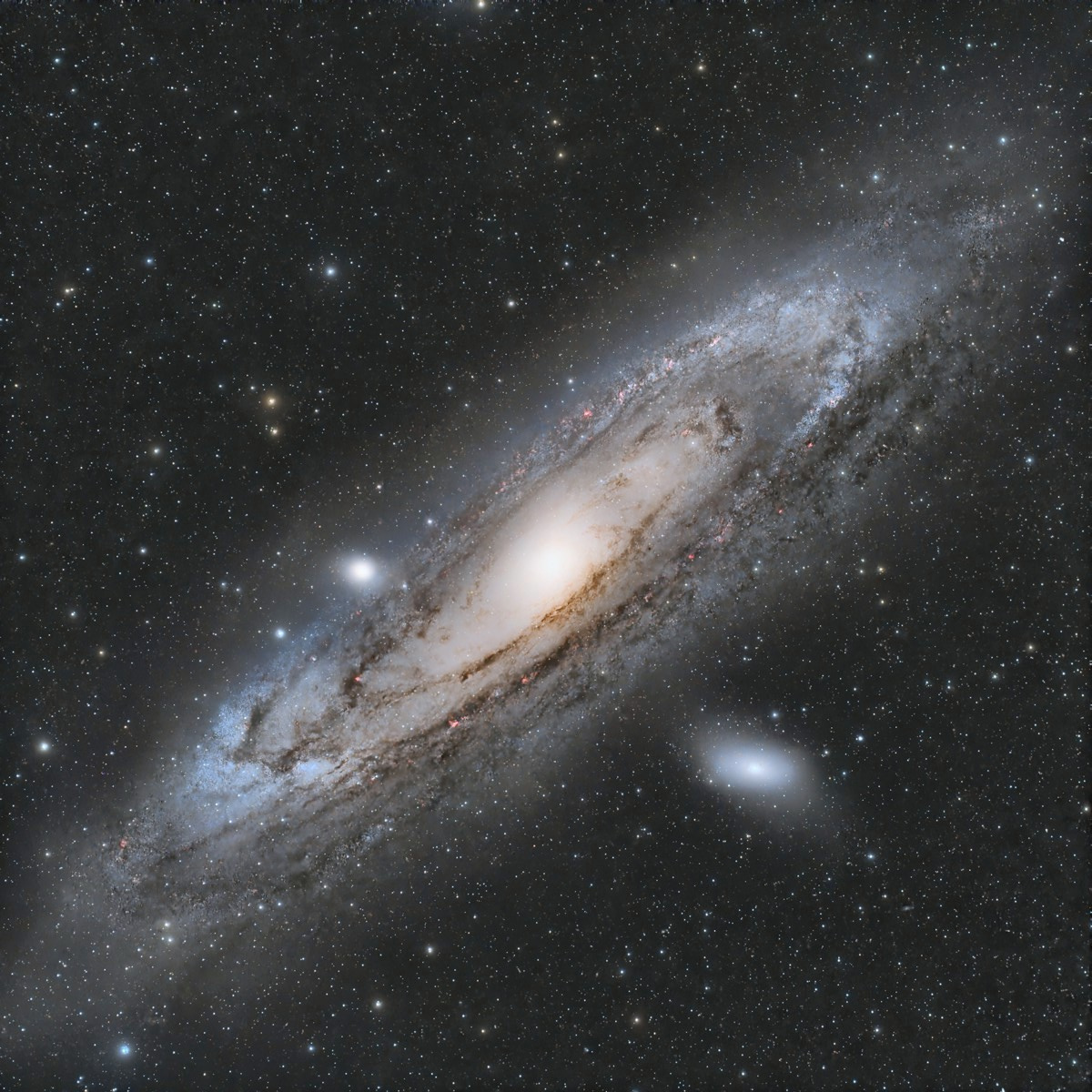 chobi_2000's tweet image. M31アンドロメダ銀河
2022年10月に撮影したデータを昨年再処理したものです。強調しすぎて星像が破綻しているところもありますがソフトの進化もあって前よりも良い感じになりました😊
もっとセンサーサイズが大きいカメラで再挑戦したい対象です。カメラないですが💦
FRA400+レデューサー
ASI533MCPro
