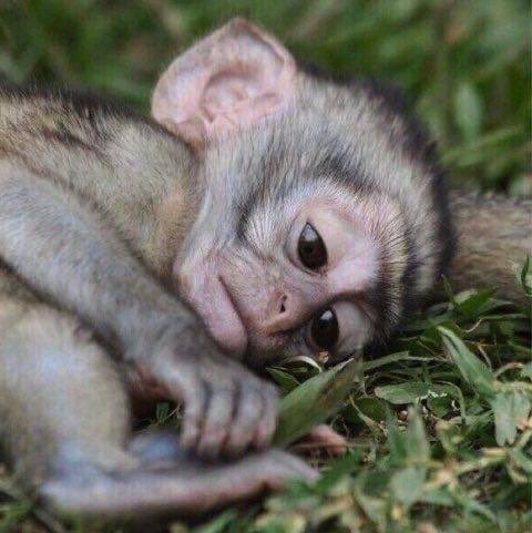لما تكون الاغنيه
وافقت مشاعرك تماما 🫠

•

•

•

 #رساله_لقلبك