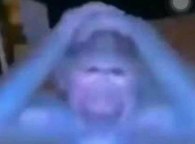 Ali Saffari tweet media