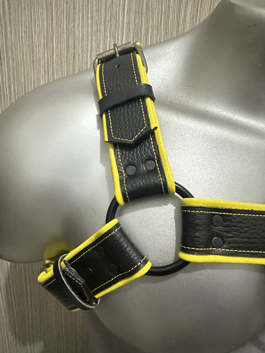 Arnés bulldog 
Personalizado como quieras