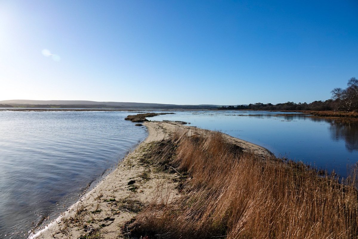 LesleyCashell's tweet image. High tide at Arne @StormHour @ThePhotoHour @BBCSouthWeather @goDorset @visit_dorset @GreenDorset @DorsetMag @lovefordorset @Dorset_NL @dorsetlandscape