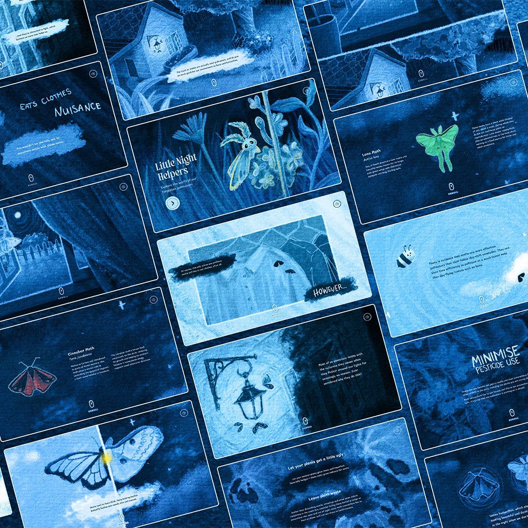 Design Assembly NZ tweet media