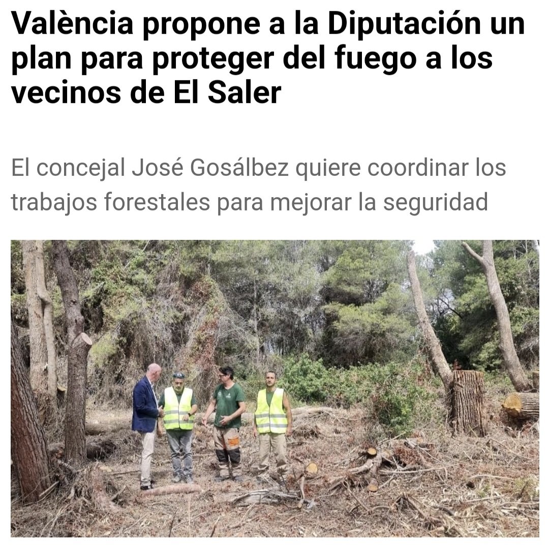 🗣 “Proteger a los vecinos y el parque no es una opción, es una obligación”

Con el Plan de Choque de Devesa-Albufera:

✅️ Franjas de seguridad
✅️ Eliminación de especies invasoras peligrosas. 
✅️ Accesos forestales mejorados.

¡Seguimos!

goo.su/VUenISE