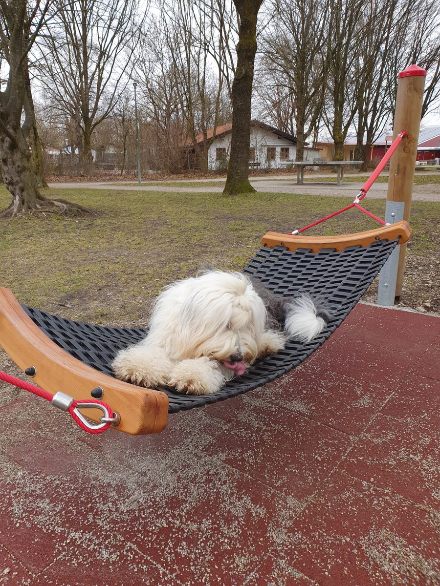 Liam🏳️‍🌈 tweet media