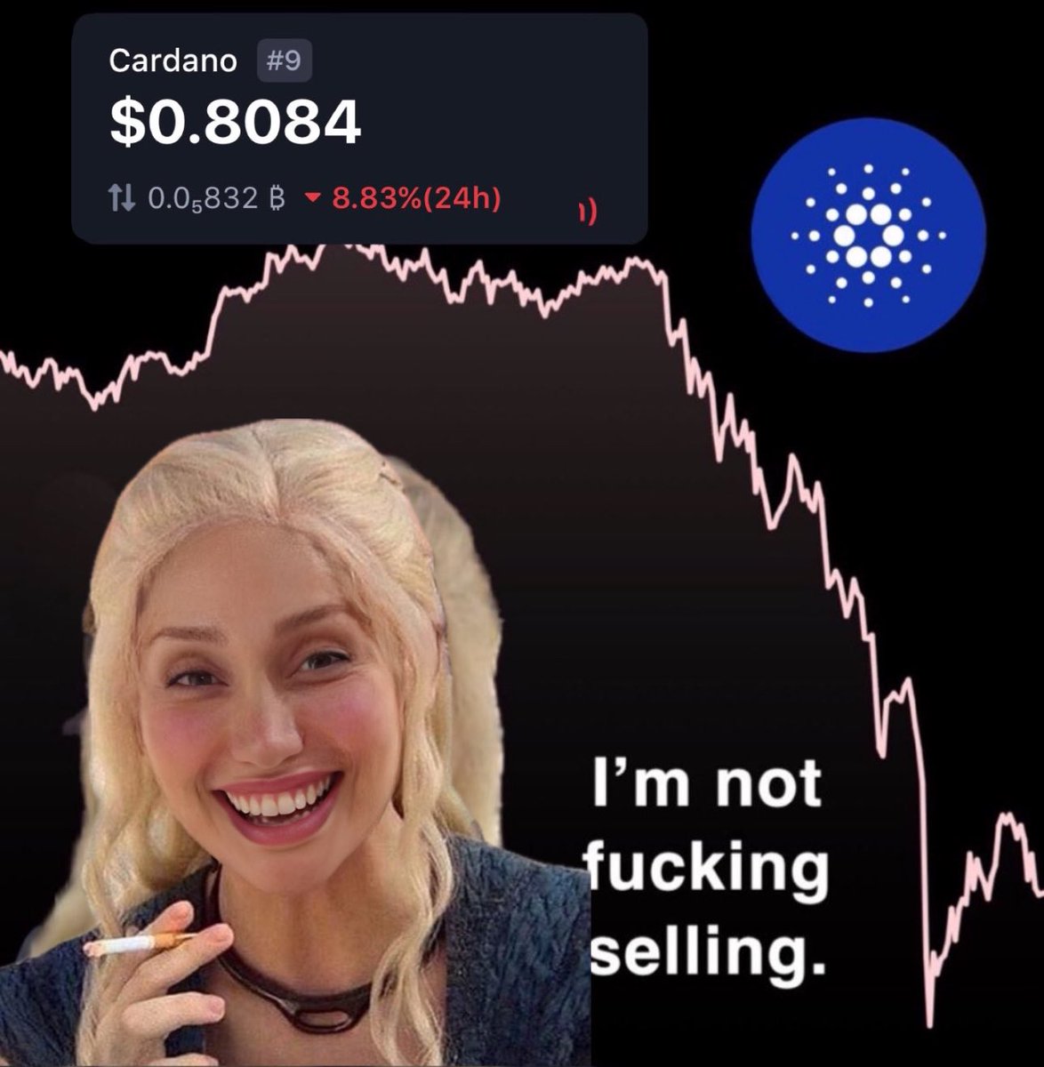 ItsNala's tweet photo. We’re not selling our $ADA https://t.co/n1rTk5ppKL