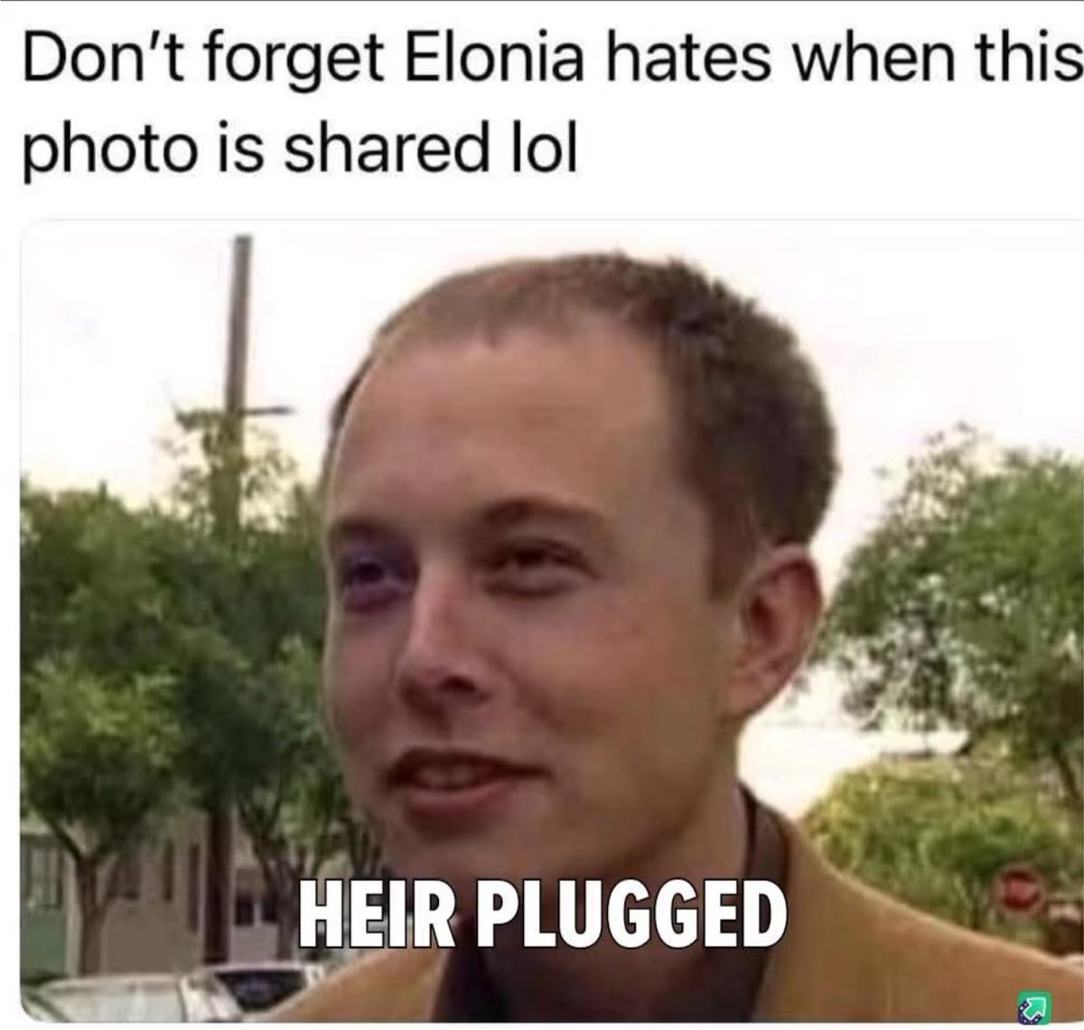 1WhiteRabbitt tweet picture