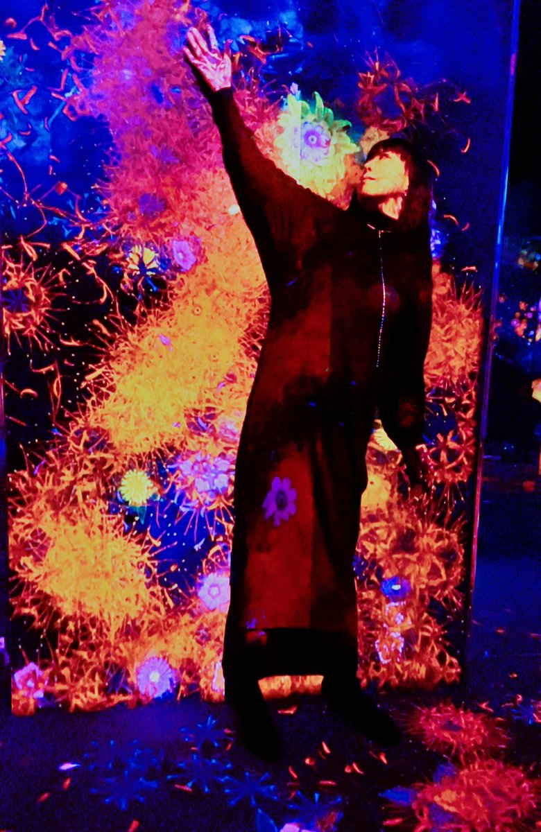 ginneko1123's tweet image. teamLab Borderless
Azabudai Hills
@tL_Borderless 

森ビルと
チームラボによる
 
「地図のないミュージアム」

来場者は
境界のないアートに
身体ごと没入し

 「境界のない
１つの世界の中で
さまよい･探索し･発見する」
 #teamLabBorderless