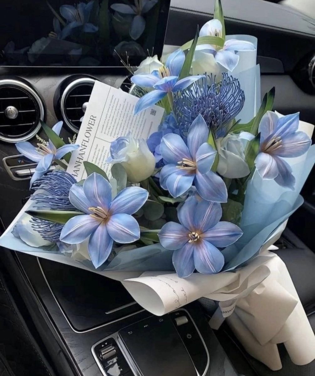 Şubat ayının çiçeği bu mavi çiçeklermiş