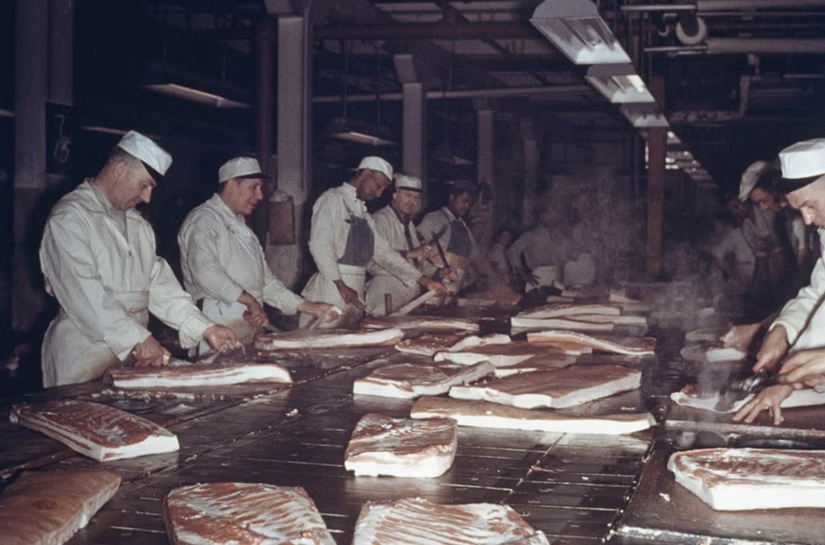 Meatpacking used to be a stable, middle-class union job, with multiple generations of families working at the same plant. In 1960, the industry was 95% unionized, paying wages that were comparable to those in the auto and steel industries. Meatpacking was skilled labor.  A