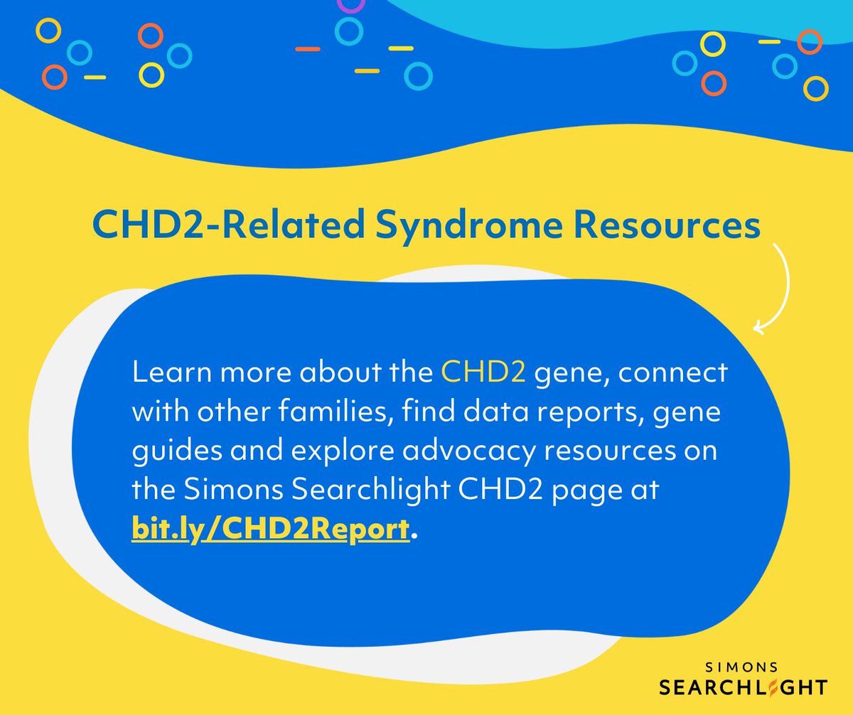 Simons Searchlight (@s_searchlight) on Twitter photo Today we are celebrating #CHD2AwarenessDay w/ our friends at <a href="/curechd2/">Coalition to Cure CHD2</a>! We have 41 participants with #CHD2 -related syndrome registered in #SimonsSearchlight.
🌐 👨👩👧👦 Find resources, data reports, gene guides, advocacy support and more on our CHD2 webpage: bit.ly/CHD2Report Today we are celebrating #CHD2AwarenessDay w/ our friends at <a href="/curechd2/">Coalition to Cure CHD2</a>! We have 41 participants with #CHD2 -related syndrome registered in #SimonsSearchlight.
🌐 👨👩👧👦 Find resources, data reports, gene guides, advocacy support and more on our CHD2 webpage: bit.ly/CHD2Report
