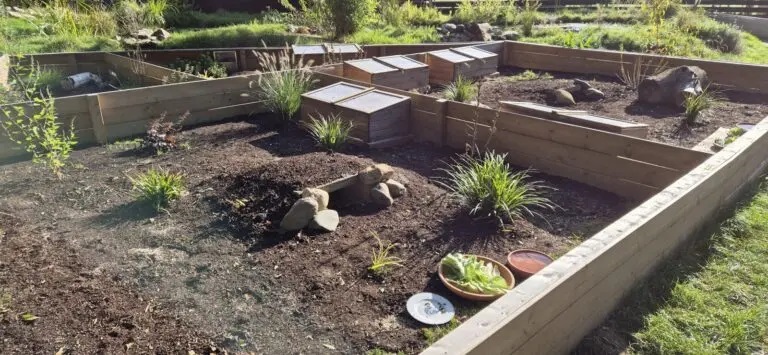 faunawatch's tweet photo. At our Turtle Shelter, we provide custom enclosures for different tortoise species, giving them a safe and comfortable space to thrive. Each one is designed to meet their specific needs, helping us care for and protect these incredible animals. #TurtleShelter #WildlifeProtection https://t.co/pceM7DhhTl
