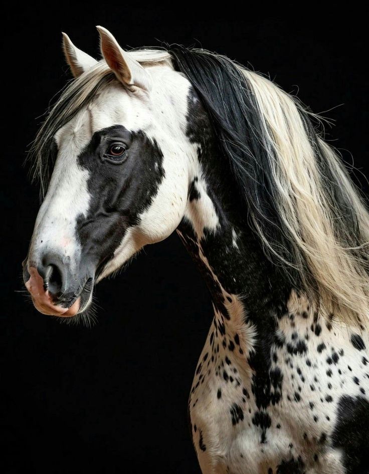 ❤️💚🩵💜🤍🧡🌹