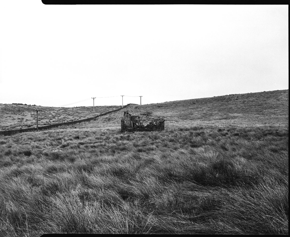 Jeandron's tweet image. A building in ruins, West Yorkshire.
(Intrepid 4x5 mk3, Fujinon 150mm 5.6, f16 1/125, Bergger Pancro400)
#filmphotography #filmisnotdead #largeformat #Analog #staybrokeshootfilm #yorkshire #landscape #hebdenbridge #blackandwhite #mytholmroyd #bergger #hike #stoodleypike #abandon