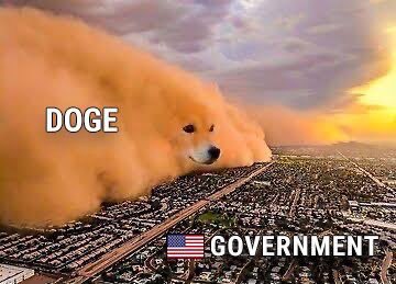 .<a href="/DOGE/">Department of Government Efficiency</a> is inevitable 🇺🇸