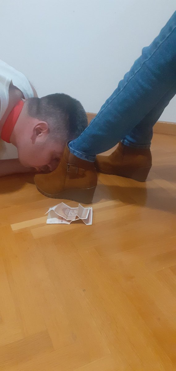 absolutedown tweet media