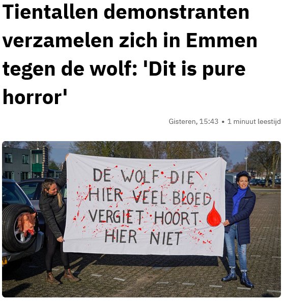 NL is niet te klein voor de wolf. NL heeft een ander probleem. 54% is landbouwgrond. NL huisvest 12 miljoen varkens en 100 miljoen kippen. Meer schapen dan kinderen van 0 - 4 jaar. Bijna evenveel koeien als mensen van 0 - 25 jaar. NL is opnieuw bezet. Ditmaal door de agrosector!