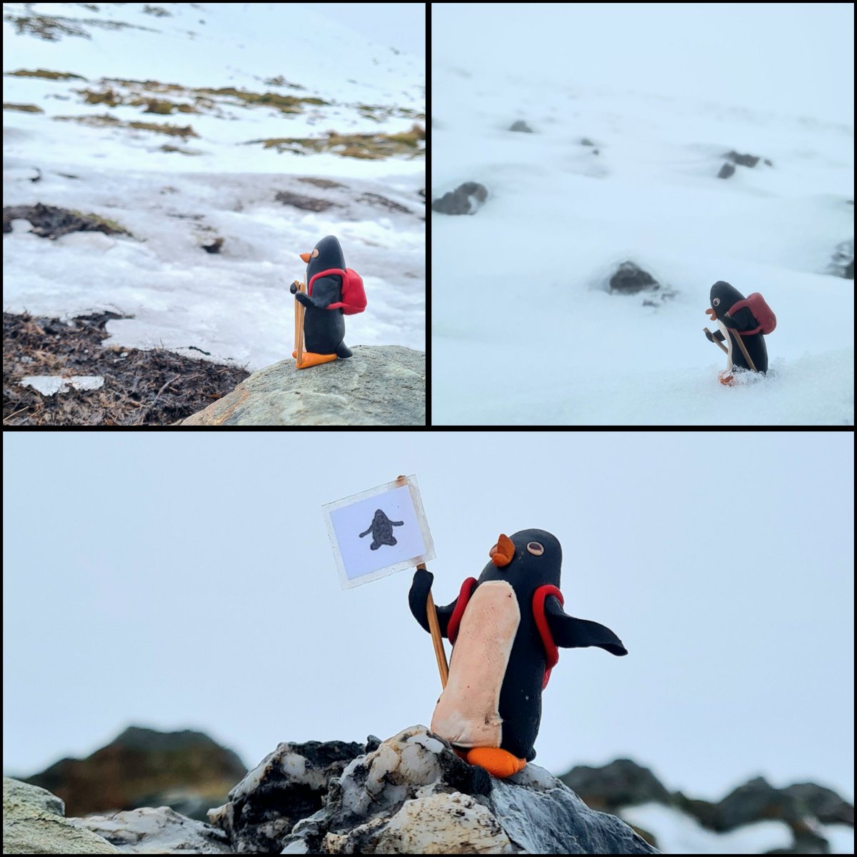 The Penguins In The Wall (@glasgowpenguins) on Twitter photo Today, Mum decided she needes to feel some snow under her her flippers, so she climbed Ben Vorlich. It wasn't easy, but she made it all the way to the top!
#glasgow #benvorlich #penguin #glasgowpenguins #streetart #glasgowstreetart #hillwalkibgscotland <a href="/walkhighlands/">walkhighlands</a> Today, Mum decided she needes to feel some snow under her her flippers, so she climbed Ben Vorlich. It wasn't easy, but she made it all the way to the top!
#glasgow #benvorlich #penguin #glasgowpenguins #streetart #glasgowstreetart #hillwalkibgscotland <a href="/walkhighlands/">walkhighlands</a>