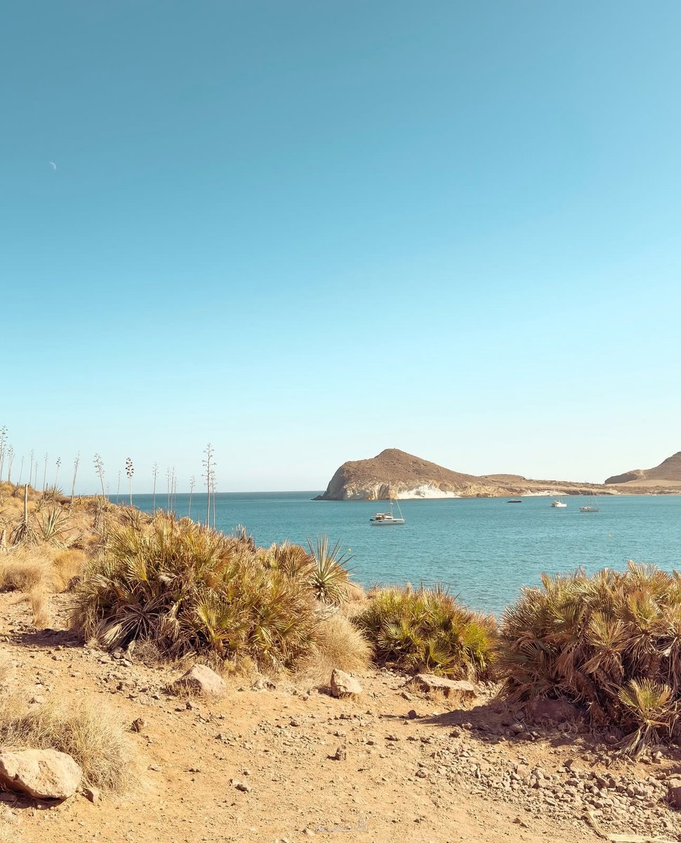 AdriánSánchez ۞ tweet media