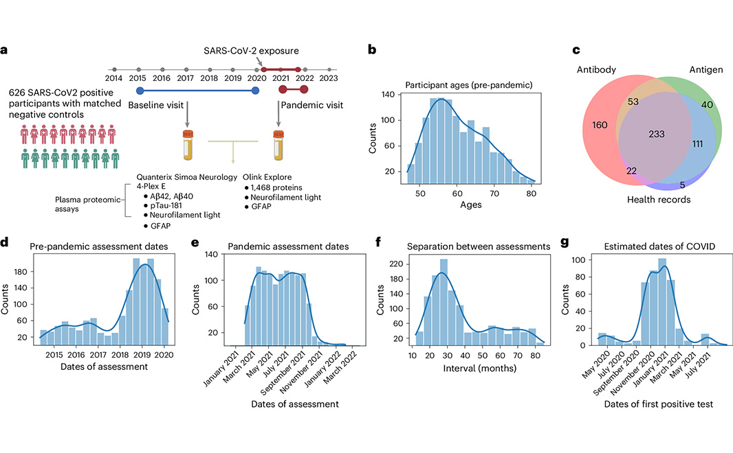 Nature Portfolio (@natureportfolio) on Twitter photo Blood biomarkers in middle-aged people suggest that SARS-CoV-2 infection is associated with greater brain β-amyloid plaque accumulation. The findings published in <a href="/NatureMedicine/">Nature Medicine</a> suggest that SARS-CoV-2 may increase the risk of future Alzheimer’s disease. go.nature.com/3CzmbJM Blood biomarkers in middle-aged people suggest that SARS-CoV-2 infection is associated with greater brain β-amyloid plaque accumulation. The findings published in <a href="/NatureMedicine/">Nature Medicine</a> suggest that SARS-CoV-2 may increase the risk of future Alzheimer’s disease. go.nature.com/3CzmbJM
