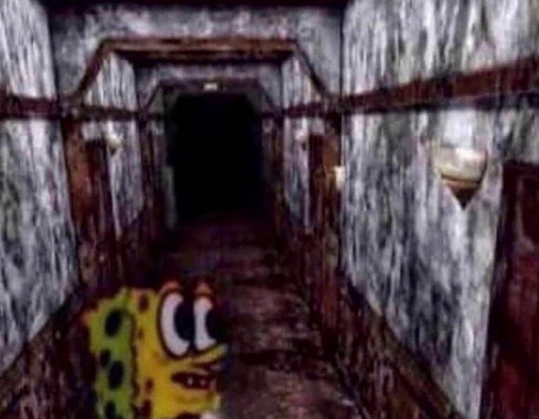 Me navigating in complete darkness because some asshole from Canada thinks a majority of Americans deserve to have resources cut off because another asshole bought his way into a 2nd term